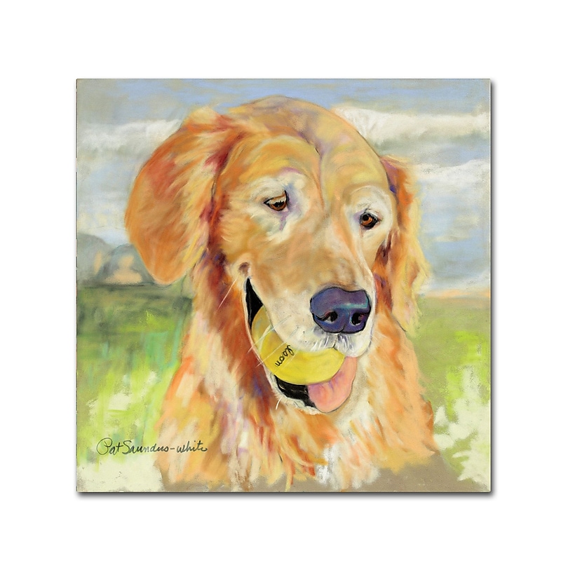 Trademark Fine Art Pat Saunders 'Gus' Canvas Art 18x18 Inches image 1