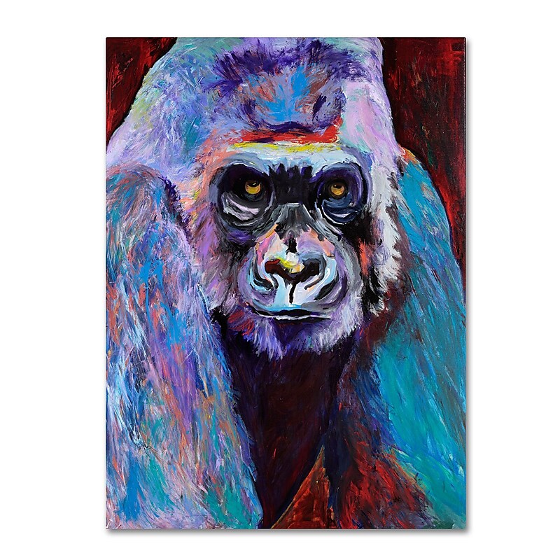 Trademark Fine Art Pat Saunders 'Thor' Canvas Art 26x32 Inches image 1