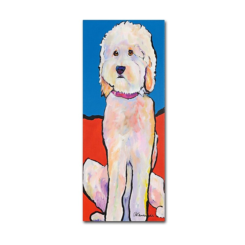 Trademark Fine Art Pat Saunders 'What No Diamonds' Canvas Art 24x47 Inches image 1