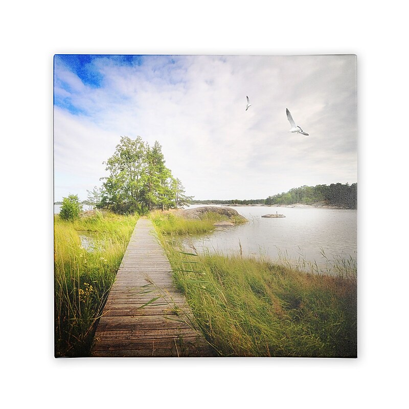 Trademark Fine Art Philippe Sainte-Laudy 'Disorganized' Canvas Art 35x35 Inches image 1