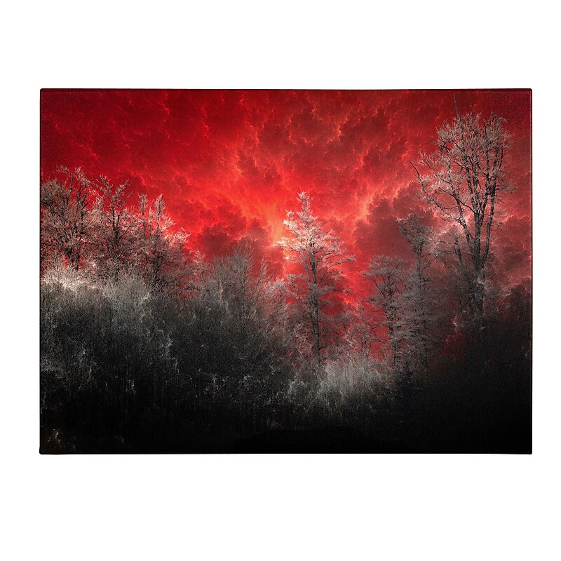 Trademark Fine Art Philippe Sainte-Laudy 'Hot and Cold' Canvas Art 22x32 Inches image 1
