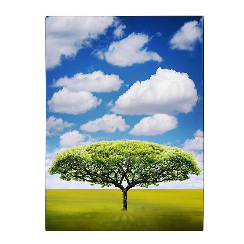 Trademark Fine Art Philippe Sainte-Laudy 'Improbable Open Space' Canvas Art 22x32 Inches image 1