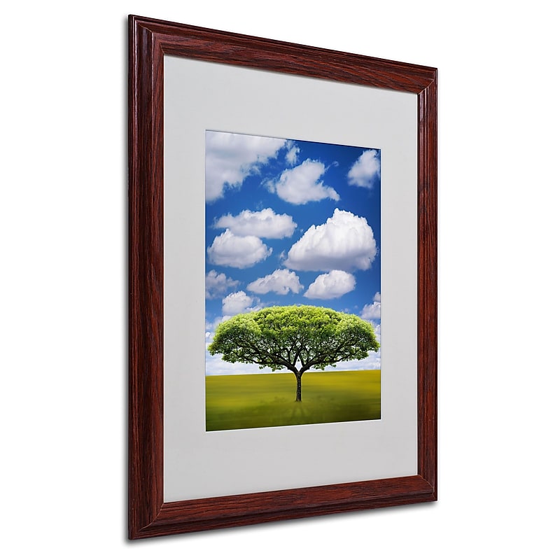 Philippe Sainte-Laudy 'Improbable Open Space' Matted Framed - 16x20 Inches - Wood Frame image 1