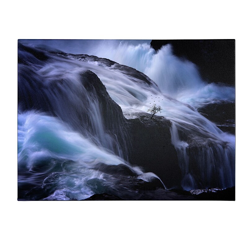 Trademark Fine Art Philippe Sainte-Laudy 'Liquide Illusion' Canvas Art 16x24 Inches image 1