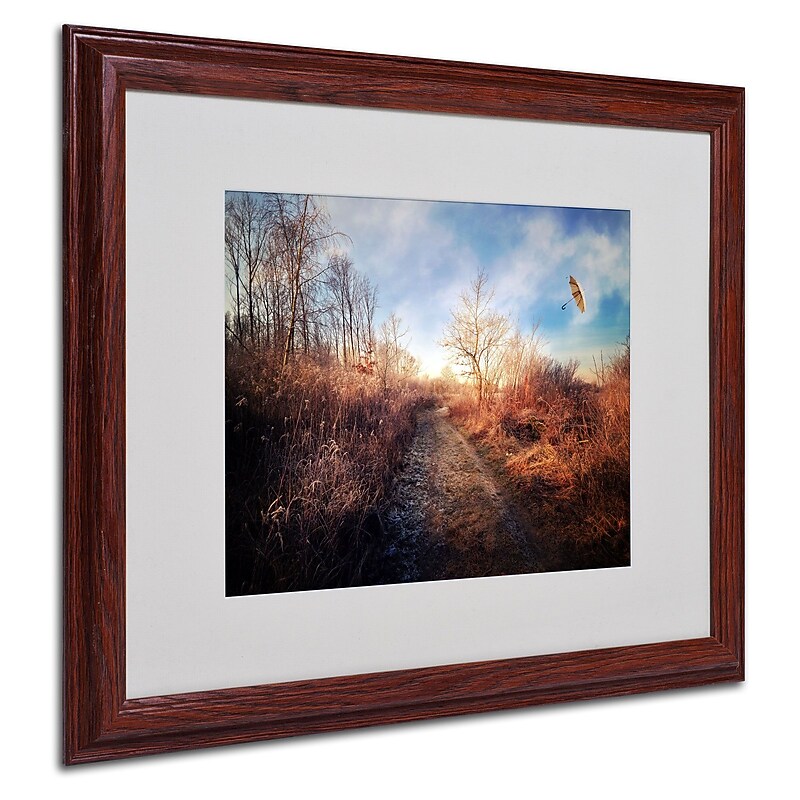 Philippe Sainte-Laudy 'Blast of Wind' Matted Framed Art - 16x20 Inches - Wood Frame image 1