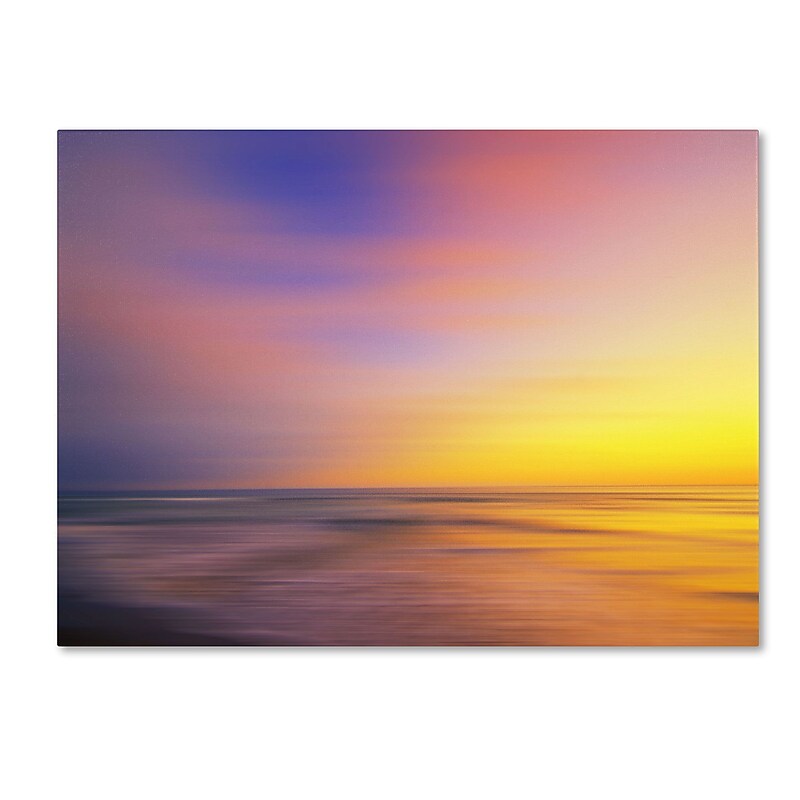Trademark Fine Art Philippe Sainte-Laudy 'Metallic Sunset' Canvas Art 16x24 Inches image 1