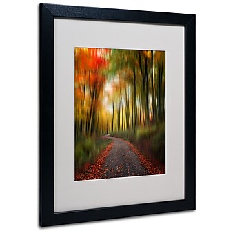 Trademark Fine Art Philippe Sainte-Laudy 'The Lost Path' Matted Art Black Frame 16x20 Inches