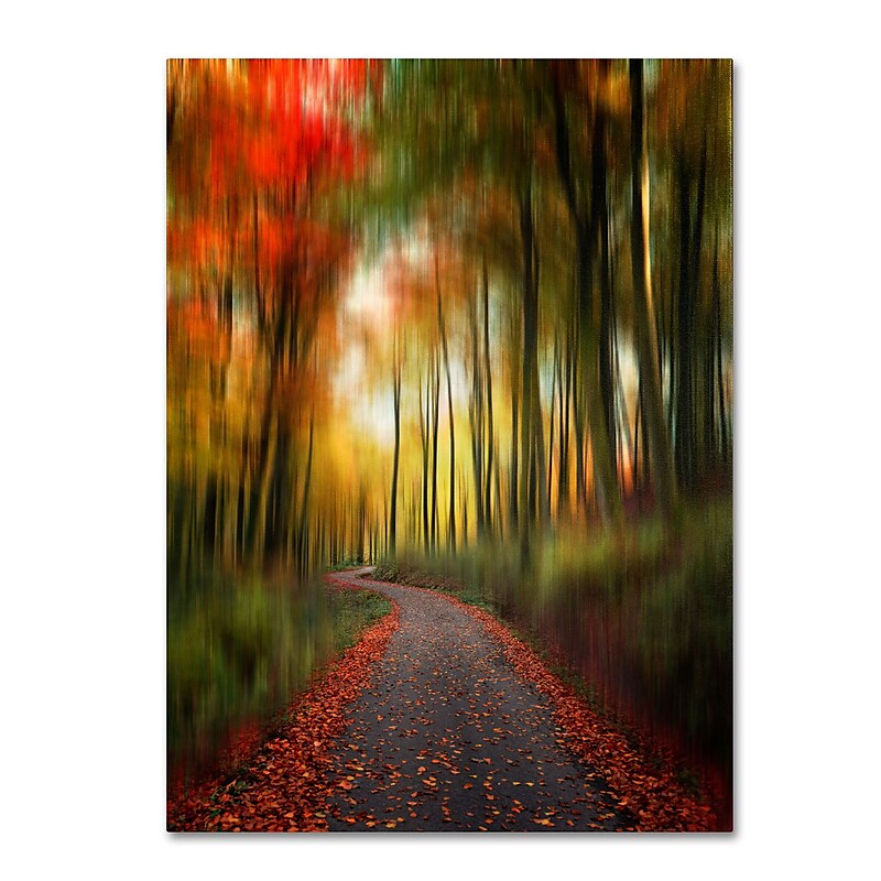 Trademark Fine Art Philippe Sainte-Laudy 'The Lost Path' Canvas Art 14x19 Inches image 1