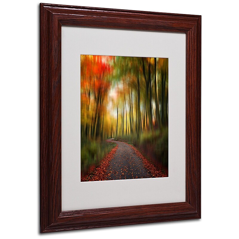 Philippe Sainte-Laudy 'The Lost Path' Matted Framed Art - 11x14 Inches - Wood Frame image 1