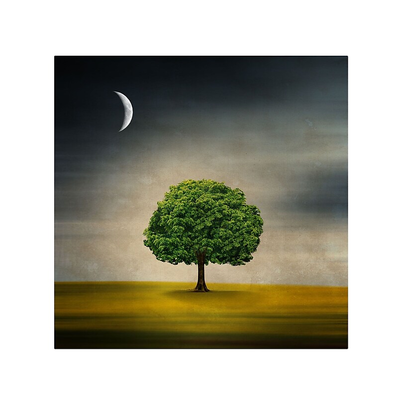 Trademark Fine Art Philippe Sainte-Laudy 'Under the Moon' Canvas Art 14x14 Inches image 1