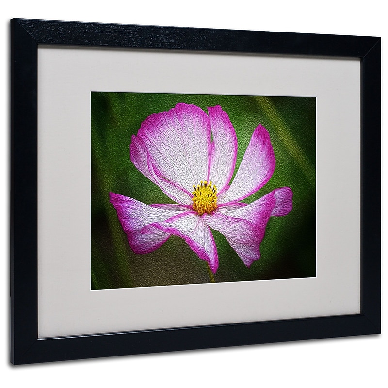 Trademark Fine Art Philippe Sainte-Laudy 'Valentine's Day' Matted Art Black Frame 16x20 Inches image 1