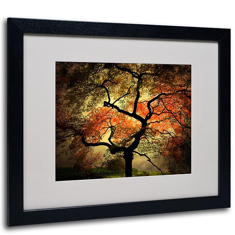 Trademark Fine Art Philippe Sainte-Laudy 'Japanese' Matted Art Black Frame 16x20 Inches image 1