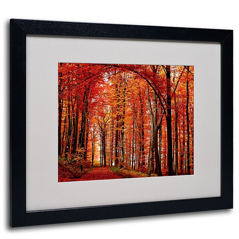 Trademark Fine Art Philippe Sainte-Laudy 'The Red Way' Matted Art Black Frame 16x20 Inches image 1