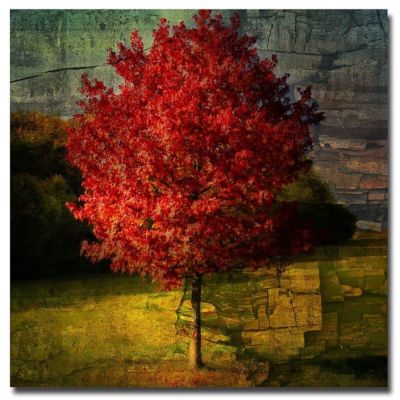 Trademark Fine Art Philippe Sainte Laudy 'Autumn Red' Canvas Art 35x35 Inches image 1