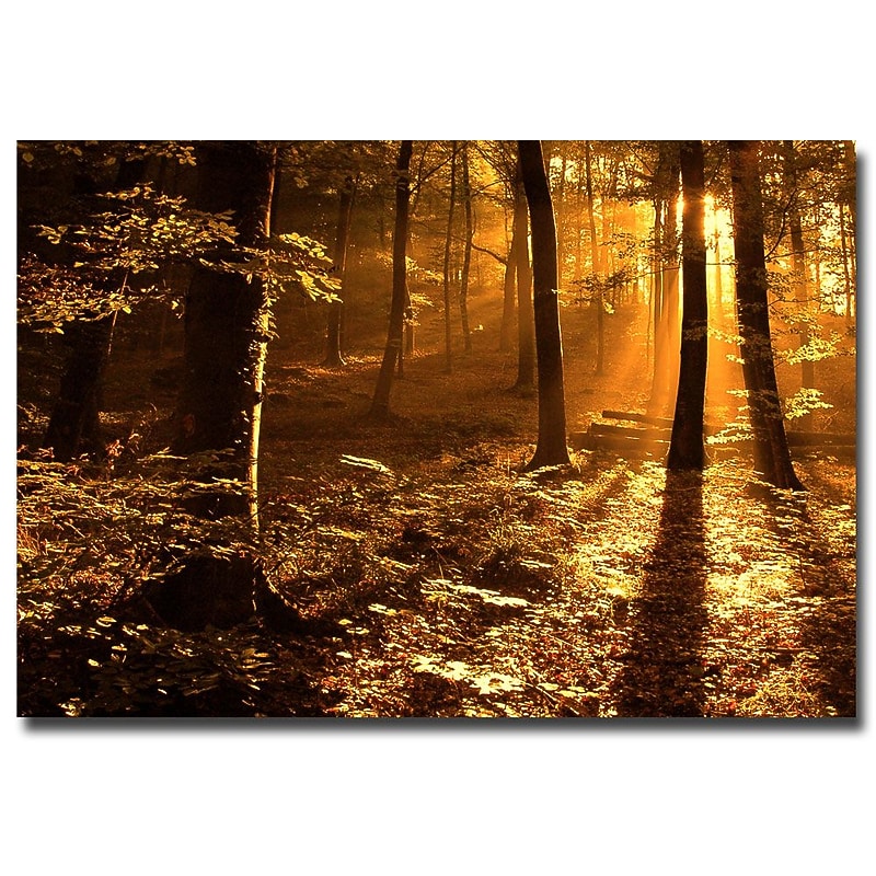 Trademark Fine Art Philippe Sainte Laudy 'Morning Light' Canvas Art 22x32 Inches image 1