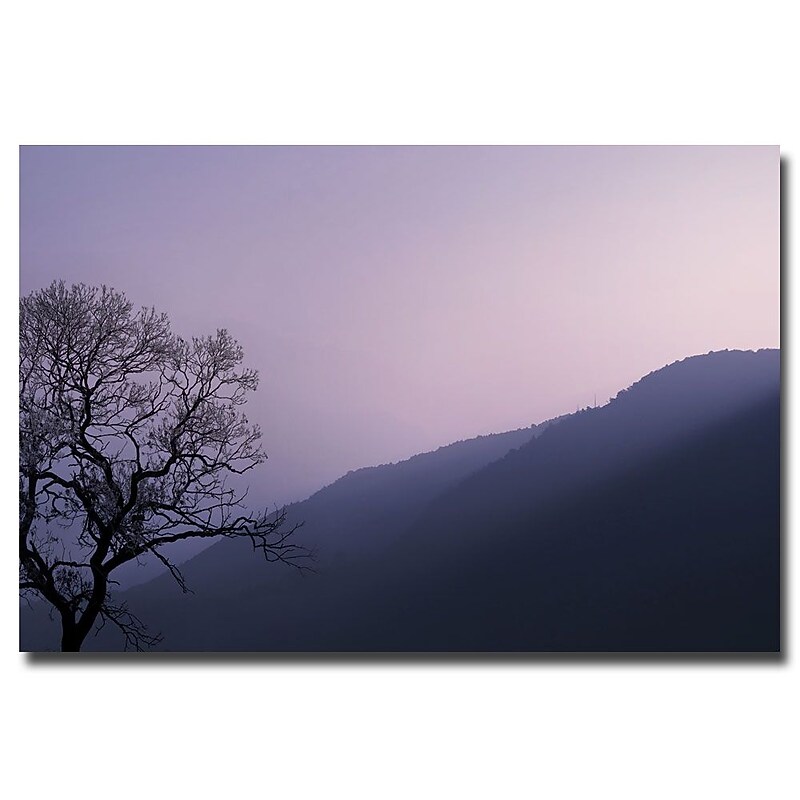 Trademark Fine Art Philippe Sainte Laudy 'Purple Hours' Canvas Art 16x24 Inches image 1