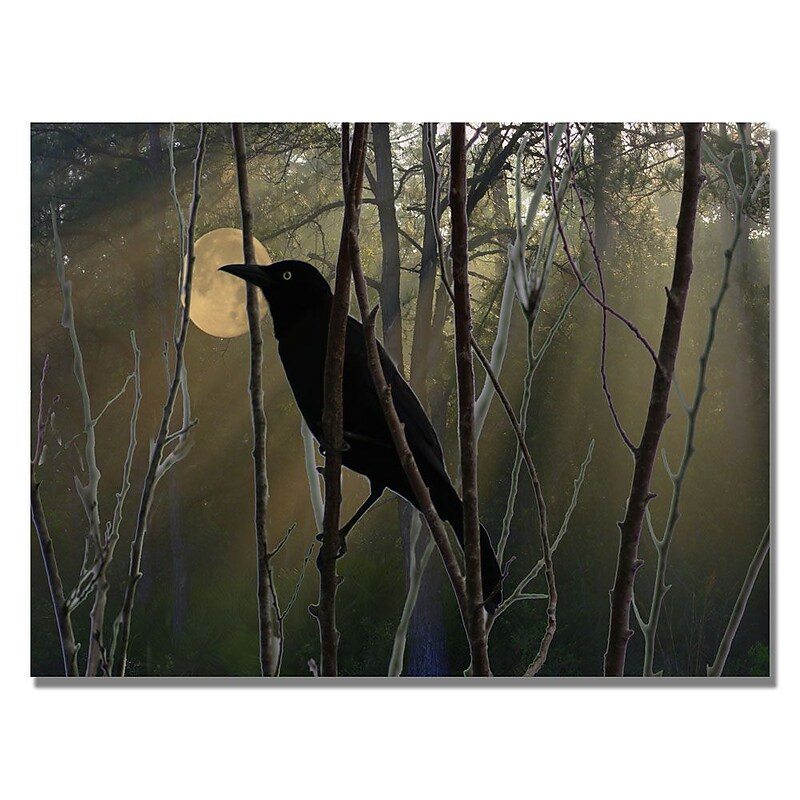 Trademark Fine Art 'Nevermore Night and Day' 35" x 47" Canvas Art image 1