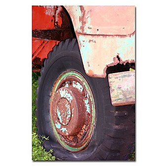 Trademark Fine Art Lil Rusty by Patty Tuggle Ready To Hang Art
