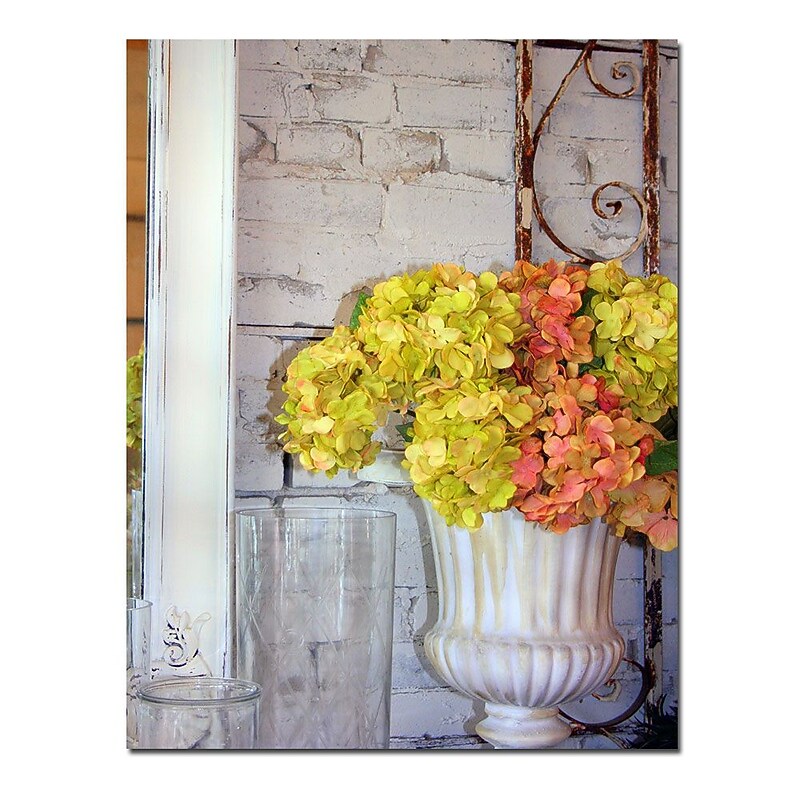 Trademark Fine Art Shabby Flowers Still Life by Patty Tuggle-Canvas Art image 1