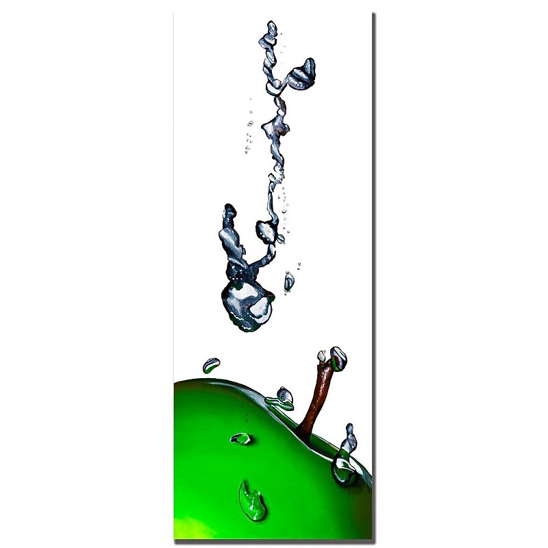 Trademark Fine Art Roderic Stevens 'Granny Splash II ' Canvas Art 12x32 Inches image 1