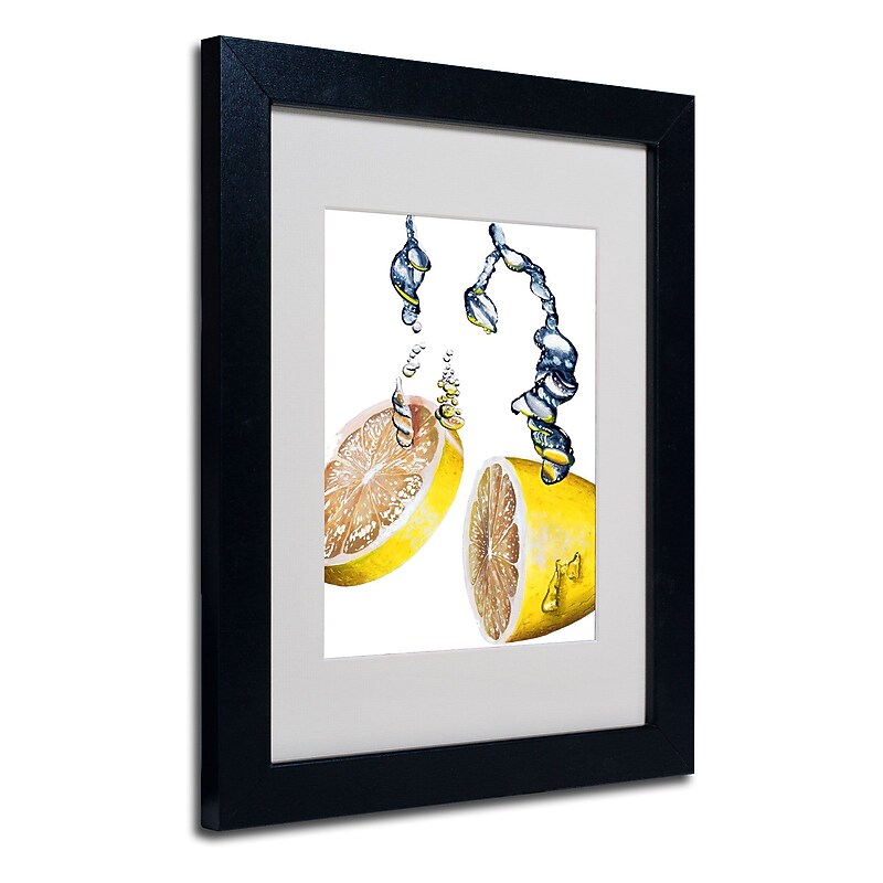 Trademark Fine Art Roderick Stevens 'Lemon Splash II' Matted Art Black Frame 11x14 Inches image 1
