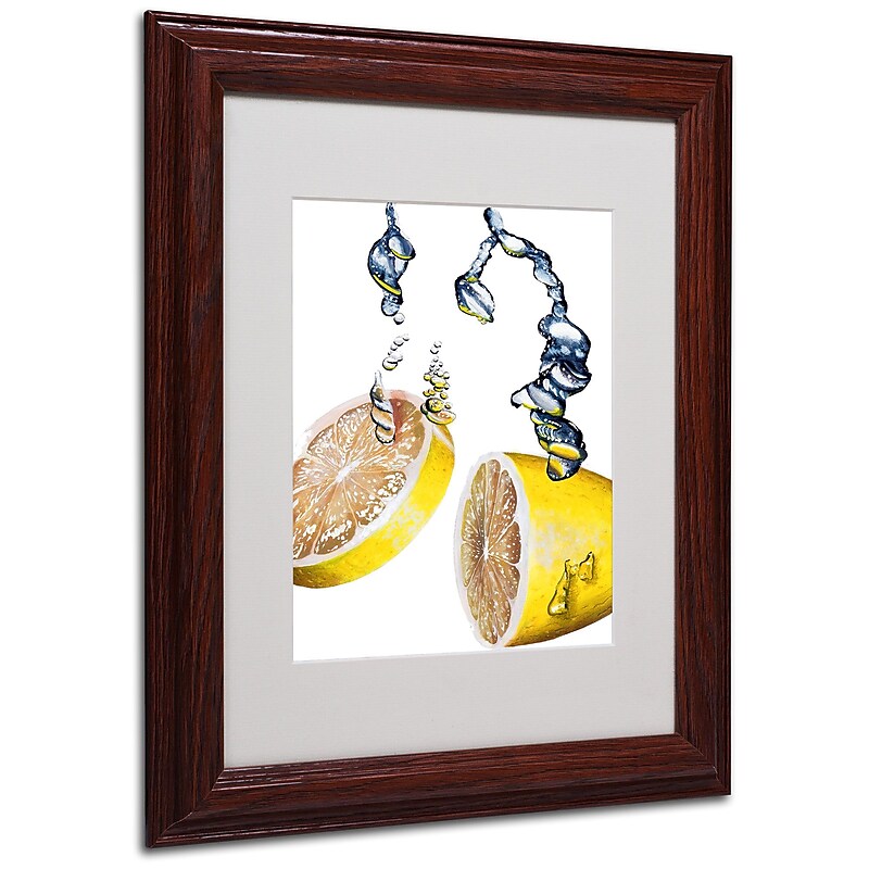 Roderick Stevens 'Lemon Splash II' Framed Matted Art - 11x14 Inches - Wood Frame image 1