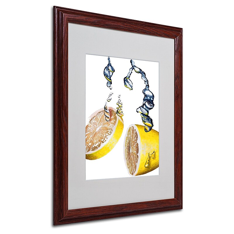 Roderick Stevens 'Lemon Splash II' Framed Matted Art - 16x20 Inches - Wood Frame image 1