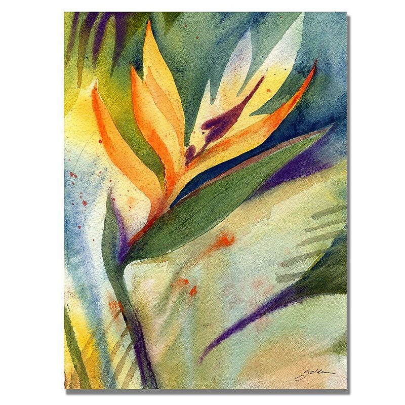 Trademark Fine Art Shelia Golden 'Bird of Paradise' Canvas Art 24x32 Inches image 1