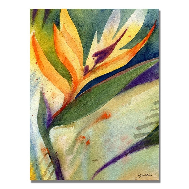 Trademark Fine Art Sheila Golden 'Bird of Paradise' Canvas Art 35x47 Inches image 1