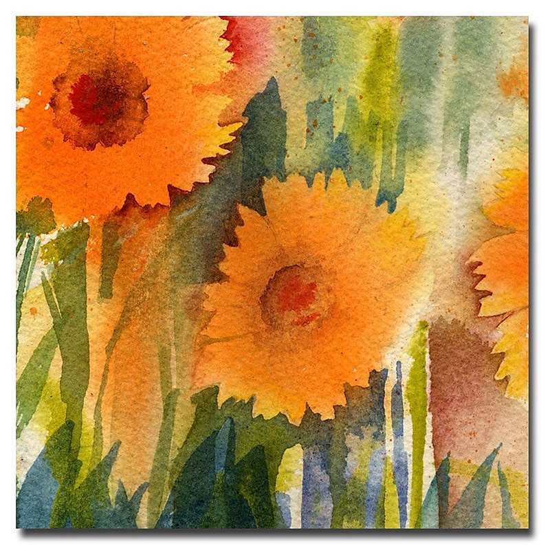 Trademark Fine Art Sheila Golden 'Orange Wild Flowers' Canvas Art 24x24 Inches image 1