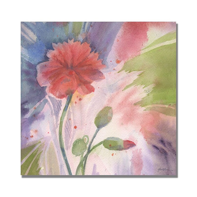 Trademark Fine Art Shelia Golden 'Budding Poppy' Canvas Art 35x35 Inches image 1