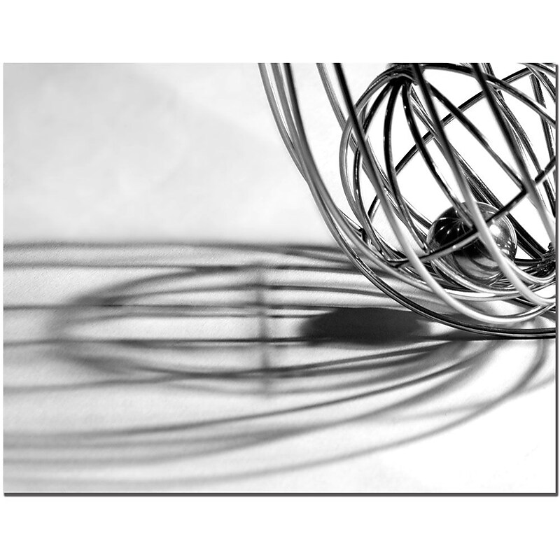 Trademark Fine Art Whisk by Tammy Davison  Canvas Art Ready to Hang 14x19 Inches image 1