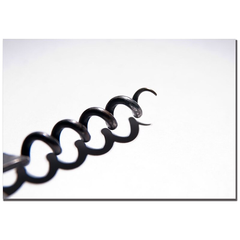 Trademark Fine Art Tammy Davison 'Corkscrew' Canvas Art 22x32 Inches image 1