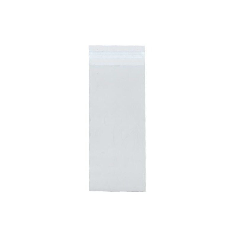 JAM Paper Cellophane Envelope with Self-Adhesive Closure, 4.25 x 11.25, Clear, 100/Pack (NUM11CELLO) image 1