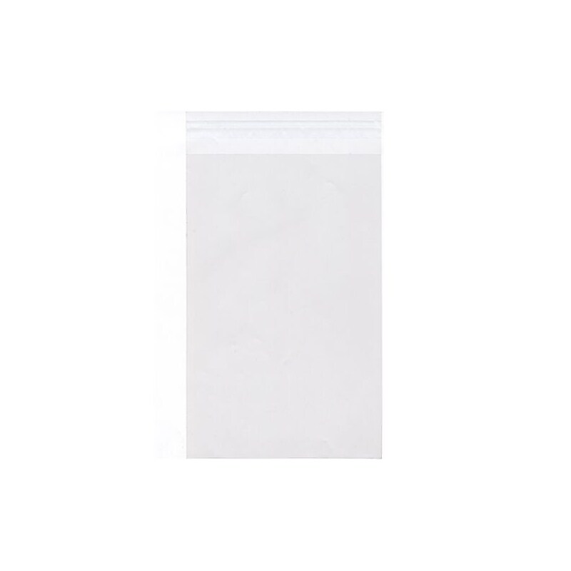 JAM Paper Cellophane Envelope with Self-Adhesive Closure, 10 x 13, Clear, 1000/Carton (10X13CELLOB) image 1