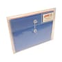 JAM Paper® Plastic Envelopes with Button and String Closure & 2 Dividers, Letter Booklet, 12.75 x 10.5, Clear, 12/Pack (JSF228)~#|#~m000068490_sc7