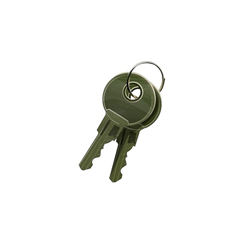 APG Cash Drawer® 542 Code Lock Replacement Key Set for Vasario Cash Drawer, 2/Pack (VPK-8K-542) image 1