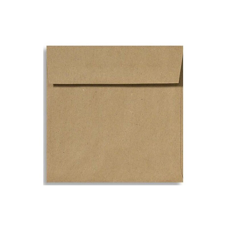 LUX 5 x 5 Square Envelopes, 1000/Box, Grocery Bag (8505-GB-1000) image 1