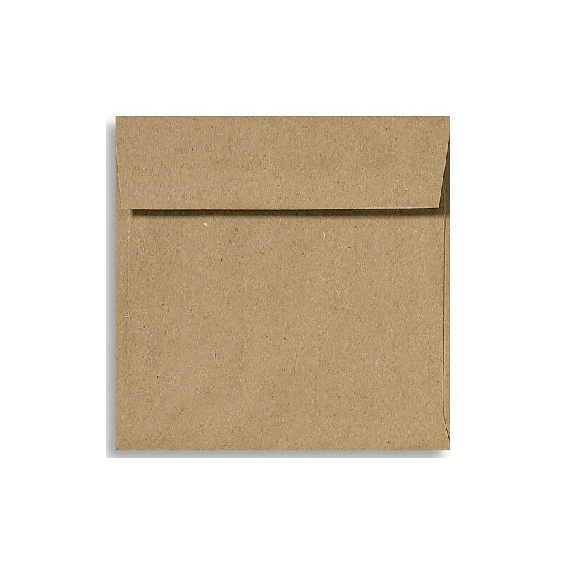 LUX 6 1/2 x 6 1/2 Square Envelopes, 250/Box, Grocery Bag (8535-GB-250) image 1