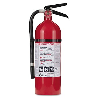 Kidde Pro Series Multi-Purpose Rechargeable 2-A, 10-B:C Dry Chemical Fire Extinguisher, 4 lbs (21005779)