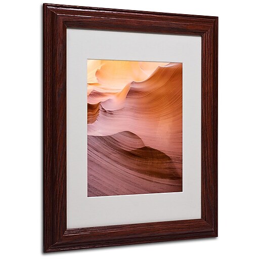 Trademark Fine Art 'Smooth IV' 11" x 14" Wood Frame Art at Staples