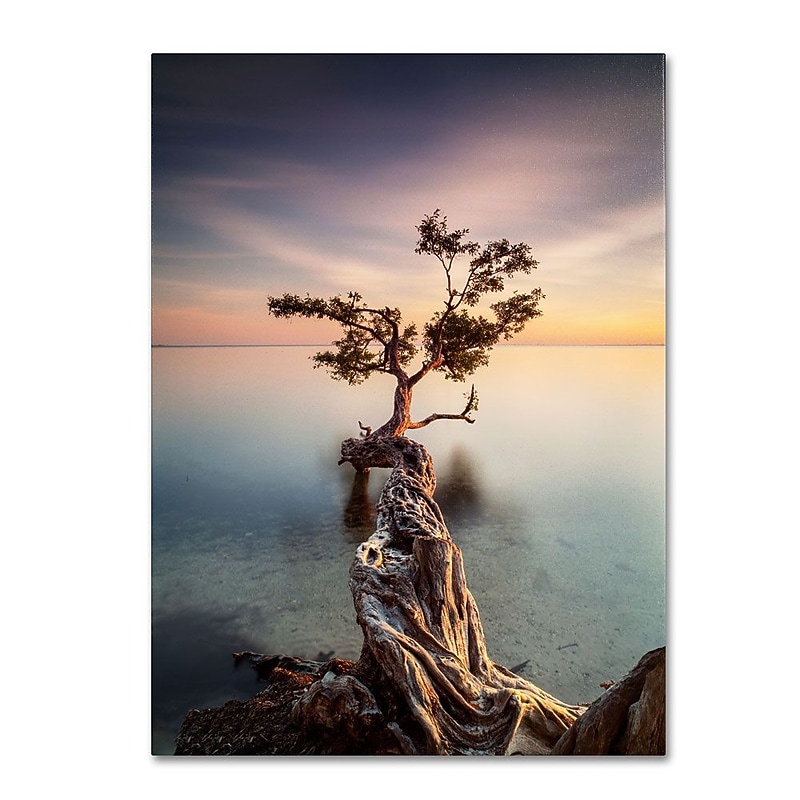 Trademark Fine Art 'Water Tree III' 14" x 19" Canvas Art image 1