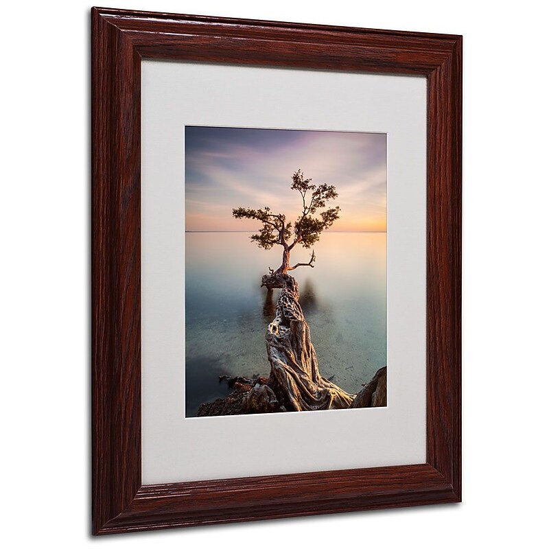 Trademark Fine Art 'Water Tree III' 11" x 14" Wood Frame Art image 1