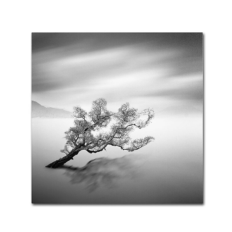 Trademark Fine Art 'Water Tree VI' 14" x 14" Canvas Art image 1