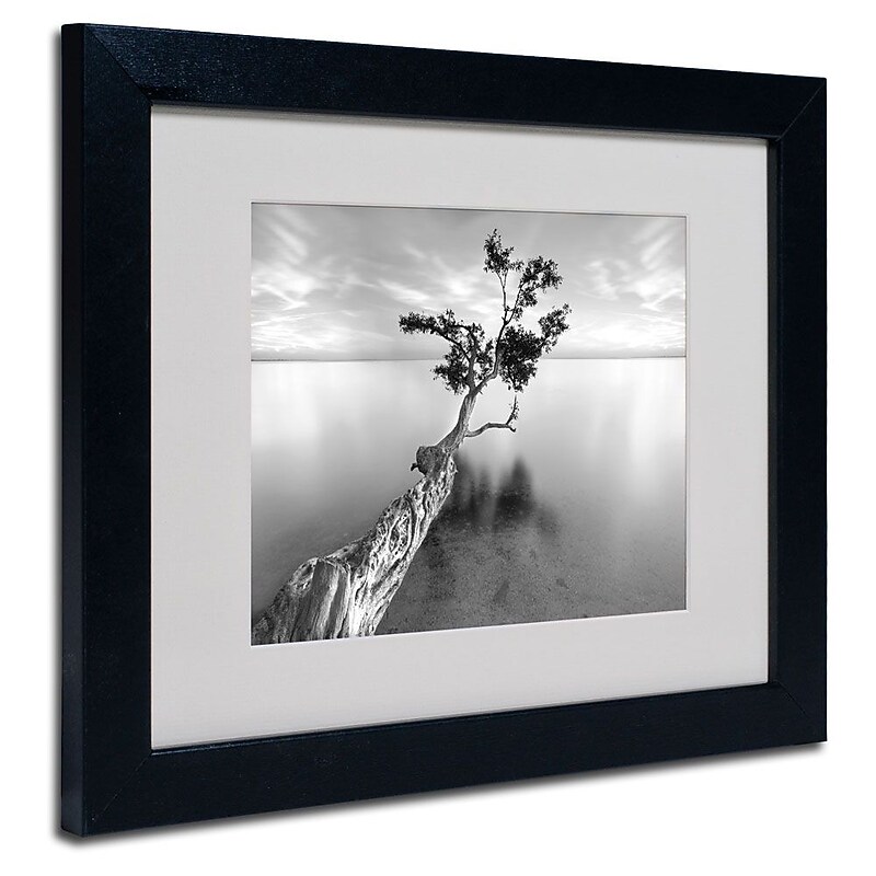 Trademark Fine Art 'Water Tree XIII' 11" x 14" Black Frame Art image 1