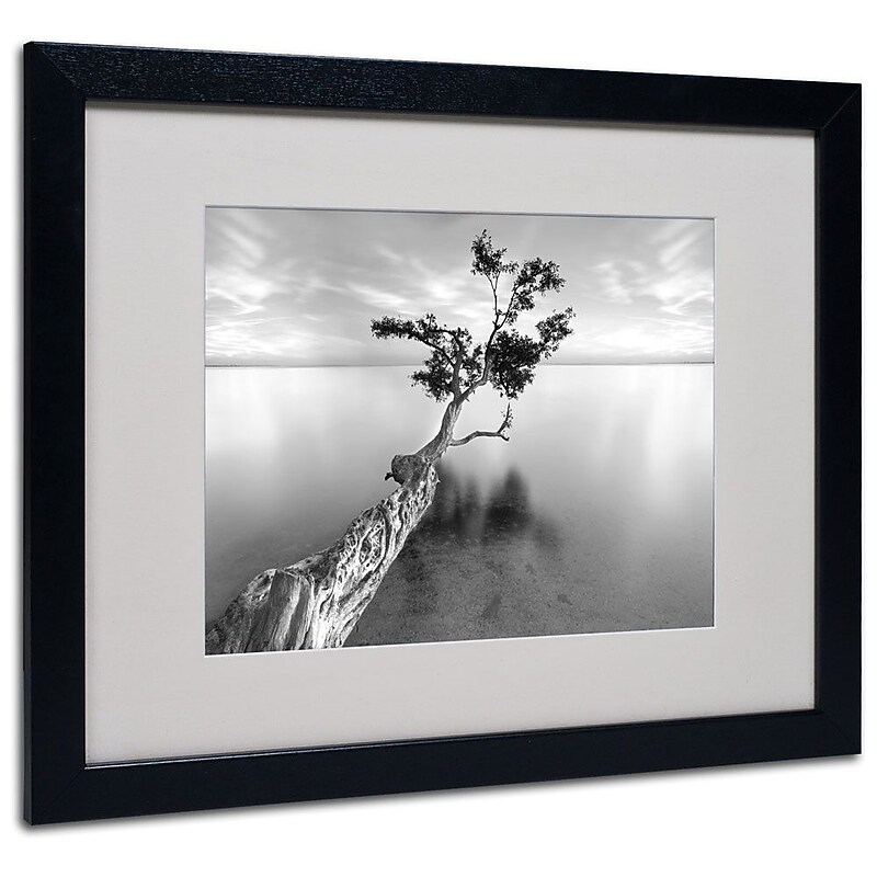 Trademark Fine Art 'Water Tree XIII' 16" x 20" Black Frame Art image 1