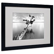 Trademark Fine Art 'Water Tree XIII' 16" x 20" Black Frame Art