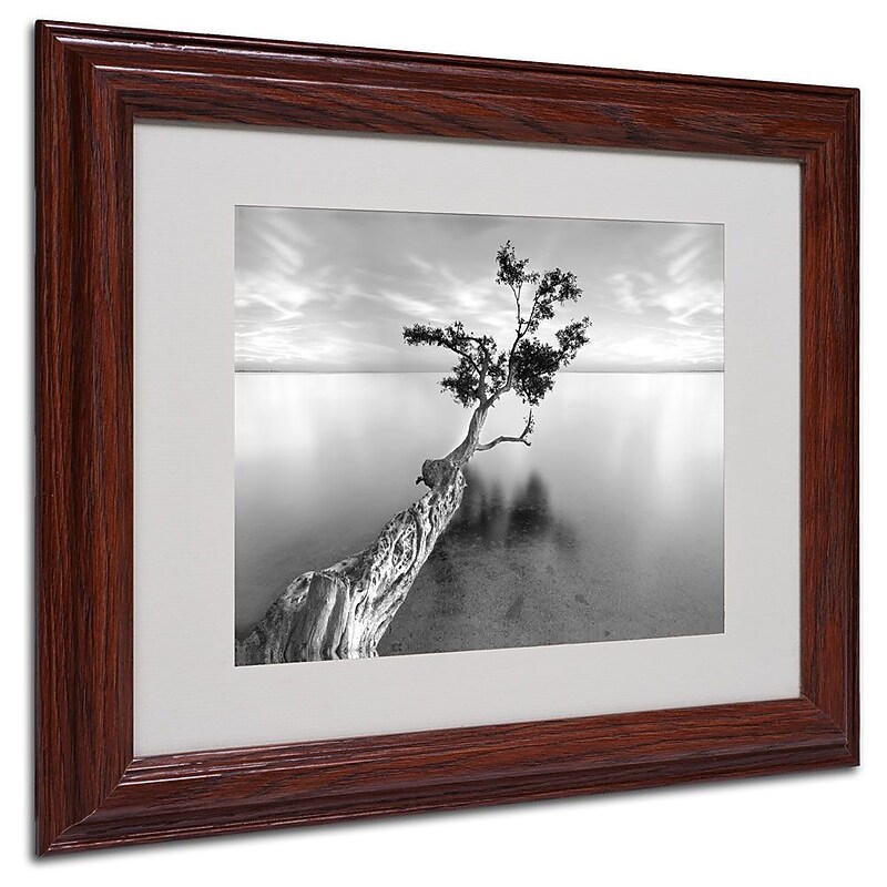 Trademark Fine Art 'Water Tree XIII' 11" x 14" Wood Frame Art image 1