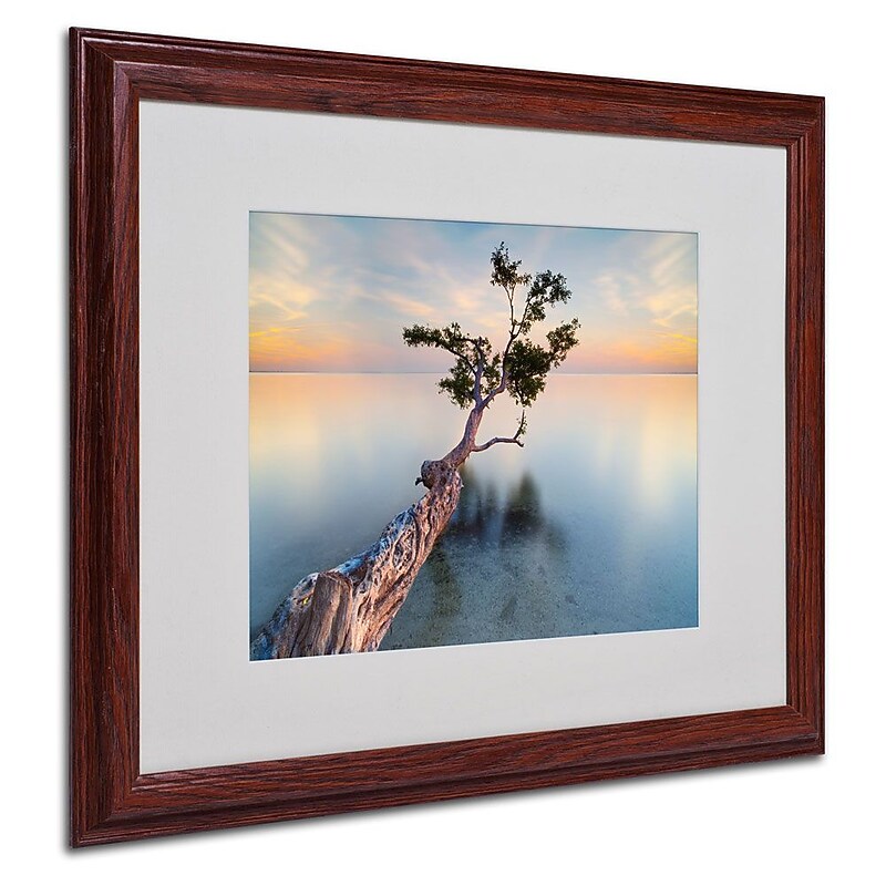 Trademark Fine Art 'Water Tree XIV' 16" x 20" Wood Frame Art image 1