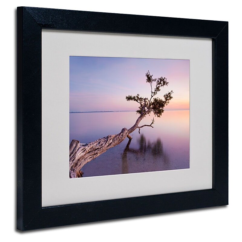 Trademark Fine Art 'Water Tree XV' 11" x 14" Black Frame Art image 1
